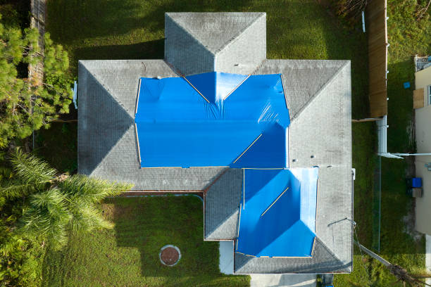 Best Metal Roofing Installation  in Severance, CO