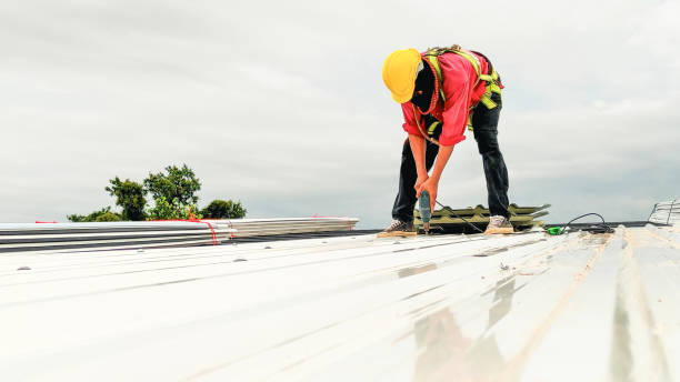Best Roof Moss and Algae Removal  in Severance, CO